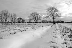 M05 Snowy fields, Ashill