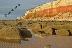 N05 Hunstanton beach