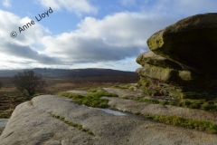 AL0718-Owler-Tor-near-Hathersage-Derbyshire_1